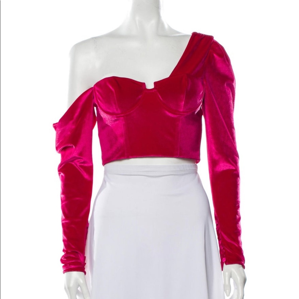 ISO Self Portrait Pink Velvet Top
